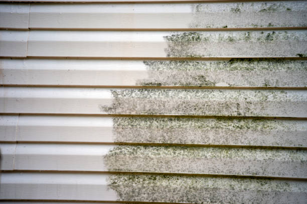 Best Fascia and Soffit Installation  in Sconsin Rapids, WI
