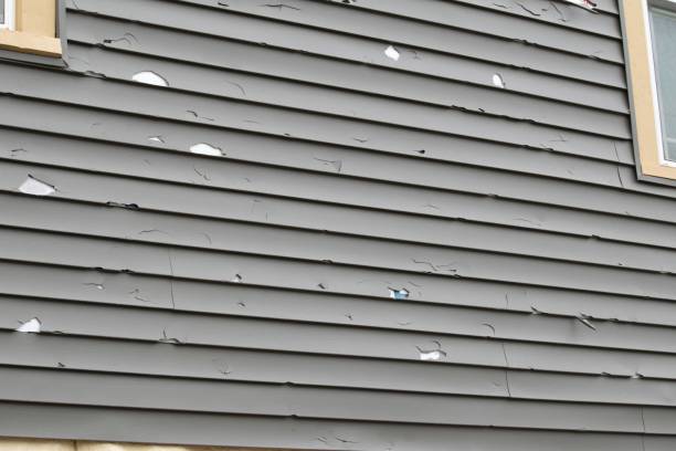 Best Custom Siding Design  in Sconsin Rapids, WI